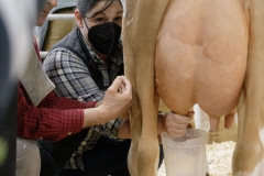 January 14, 2022: Senators Sharif Street and Amanda Cappelletti participate in the 2022 Celebrity Cow Milking Contest.