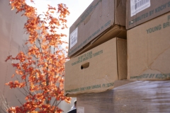 11.13.25 - Senator Street Turkey Giveaway